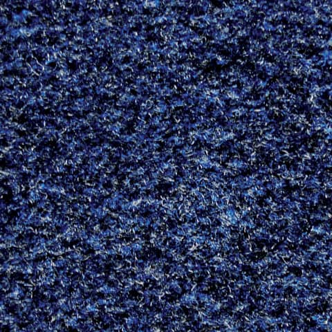 Schmutzfangmatte Olefin - Eingangsbereich, 91 x 15 0 cm, blau